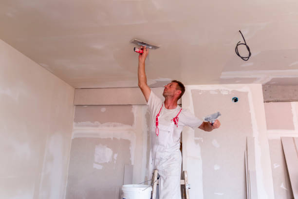 Best Fire-Damaged Drywall Repair  in Genoa City, WI