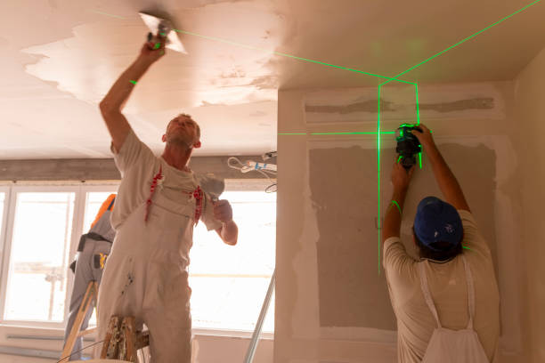 Best Drywall Crack Repair  in Genoa City, WI